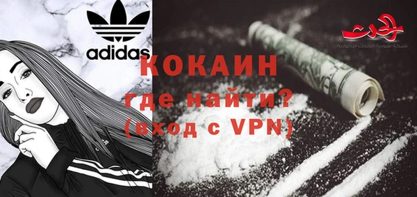 гидра Арсеньев