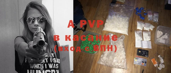 гидра Арсеньев